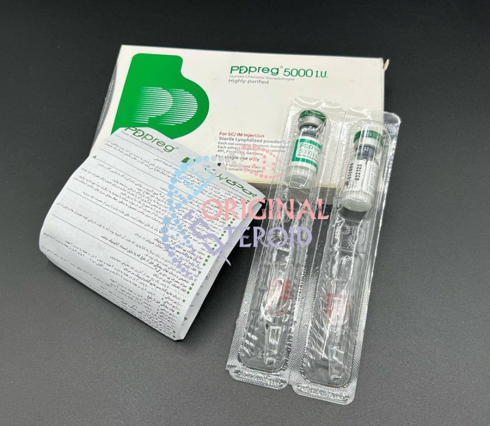 هاش سی جی HCG پی دی پرگ