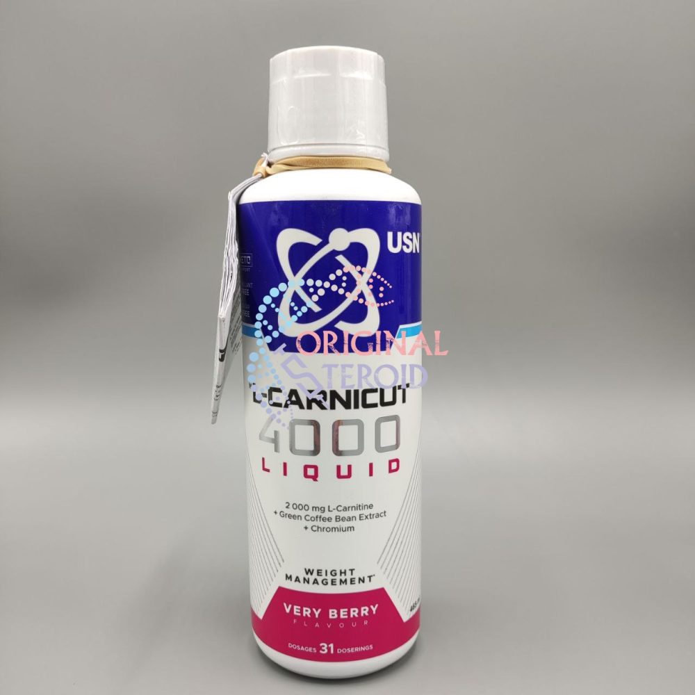 ال کارنیتین 4000