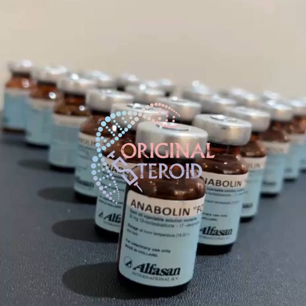 دکا الفاسان هلندی حیوانی